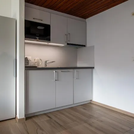 Zurschmitten 10 2- Ug Sued Studio- Dusche- Wc 1 Zimmerwohnung- 2-betten By Interhome *
