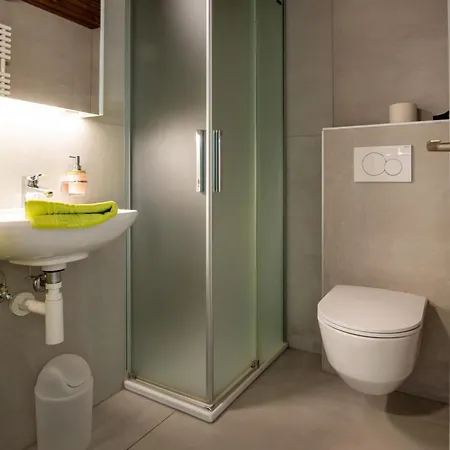 Zurschmitten 10 2- Ug Sued Studio- Dusche- Wc 1 Zimmerwohnung- 2-betten By Interhome Appartamento Riederalp